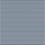 D/F Devonstone Fundamentals - 1/8" Stripe Navy & Cream DV2807
