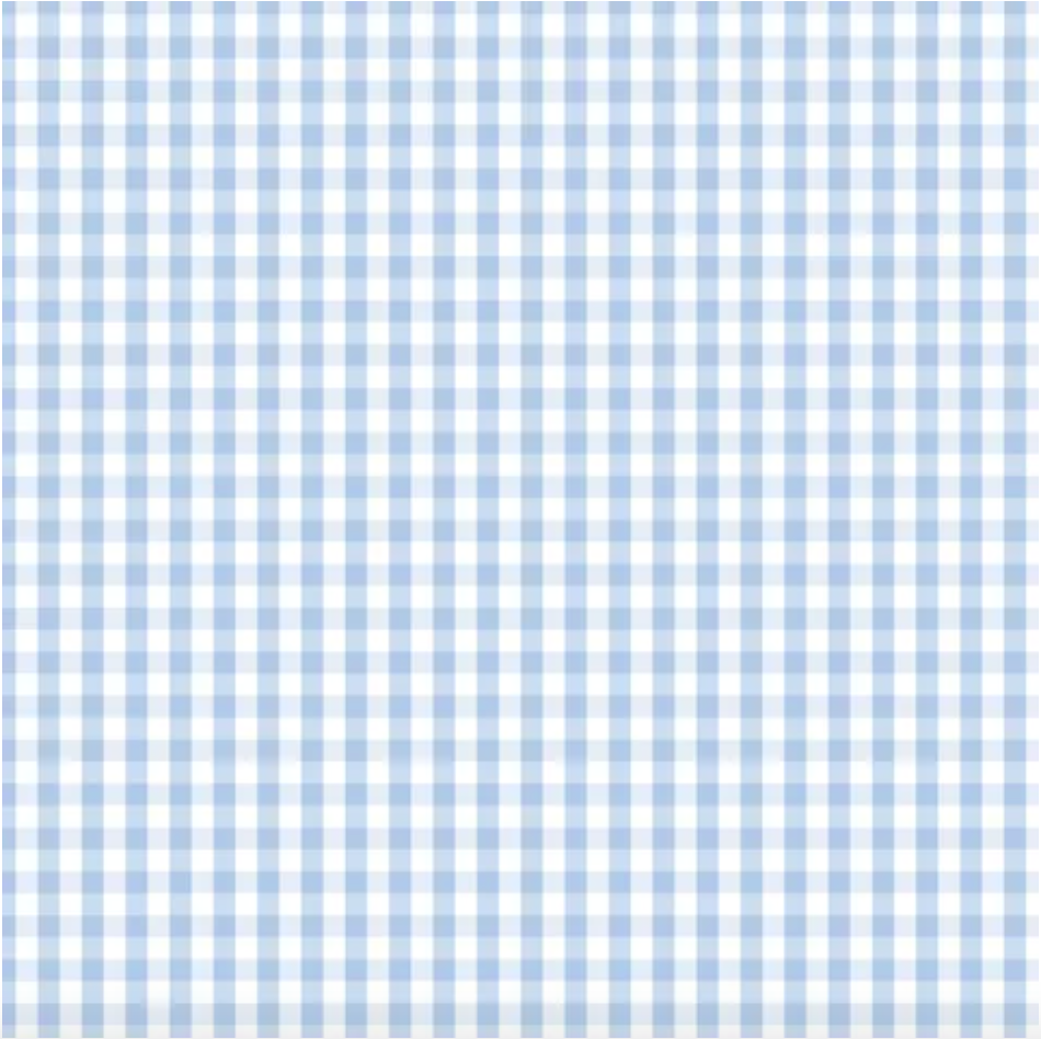 D/F Devonstone Fundamentals - Small Check Partly Cloudy Blue DV2859