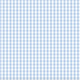 D/F Devonstone Fundamentals - Small Check Partly Cloudy Blue DV2859