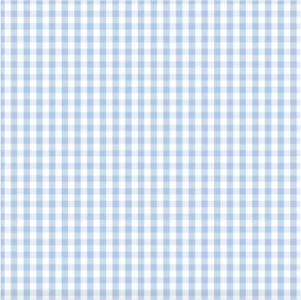 D/F Devonstone Fundamentals - Small Check Partly Cloudy Blue DV2859