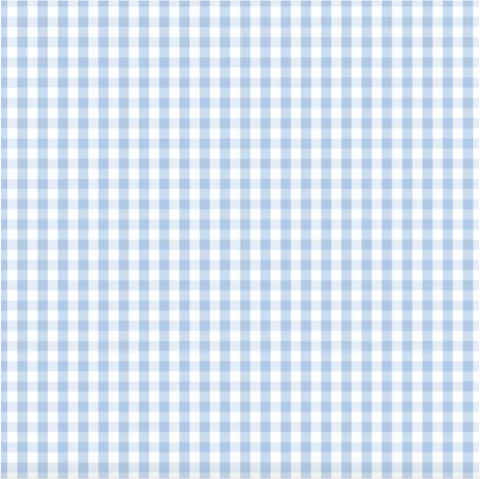 D/F Devonstone Fundamentals - Small Check Partly Cloudy Blue DV2859