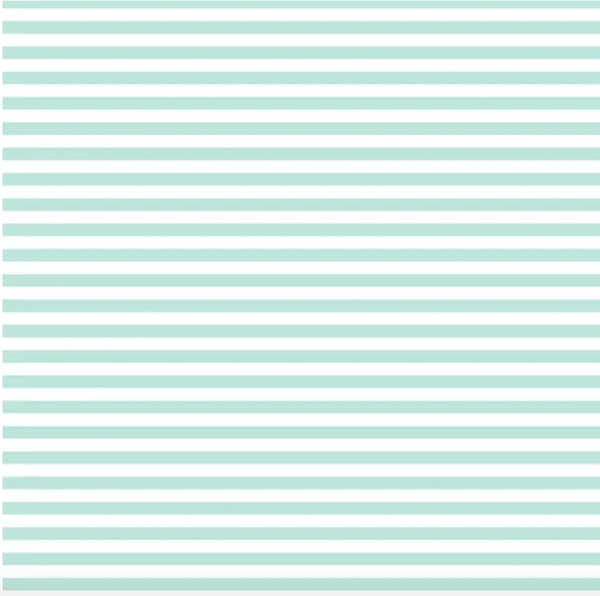 D/F Devonstone Fundamentals - 1/4" Stripe Seafoam DV2871
