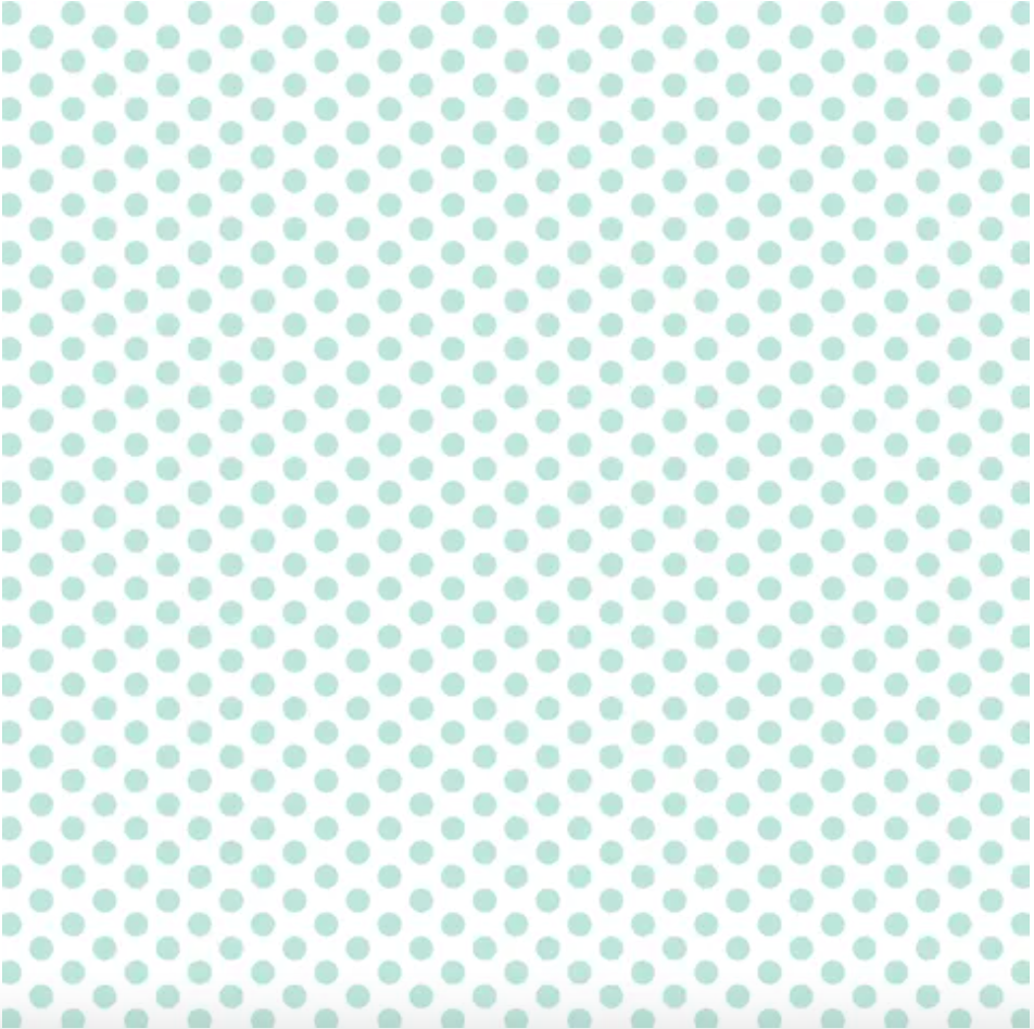 D/F Devonstone Fundamentals - Small 1/4” Polka Dots Seafoam DV2873