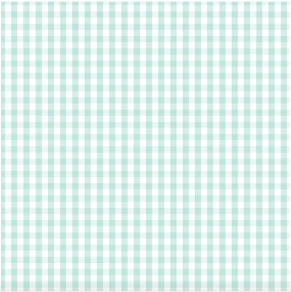 D/F Devonstone Fundamentals - Small Check Seafoam DV2874