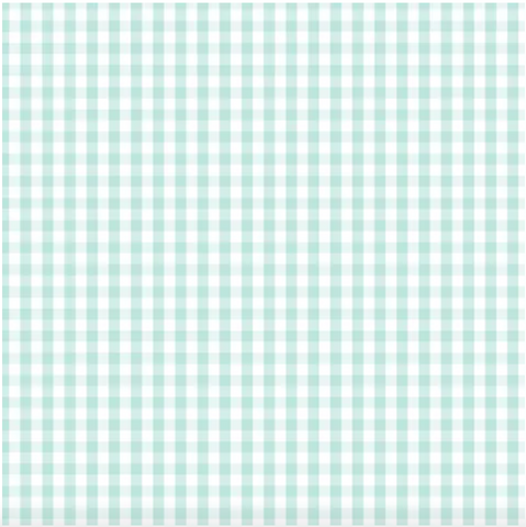 D/F Devonstone Fundamentals - Small Check Seafoam DV2874