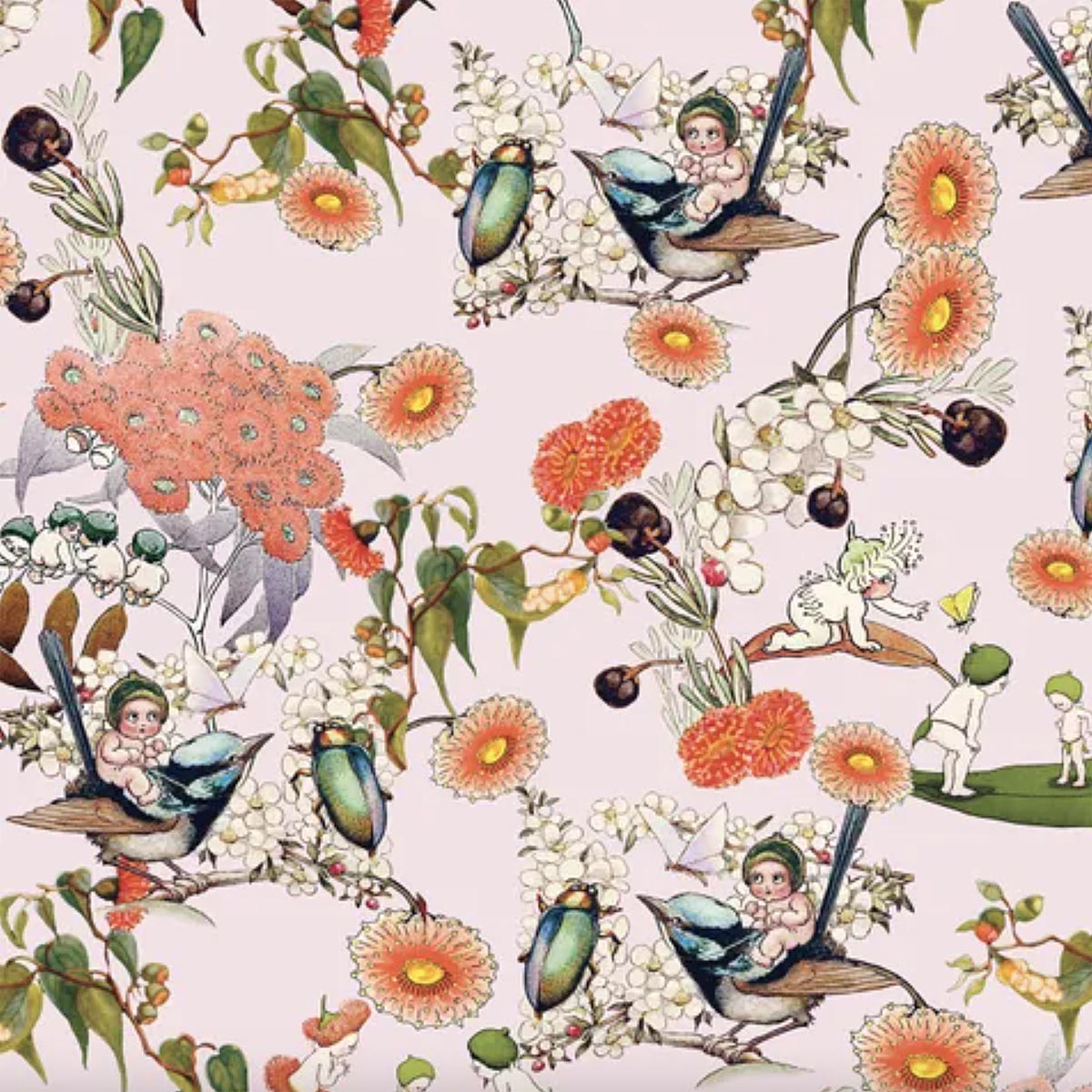 May Gibbs - NATIVE BERRIES - Pink - MG1014