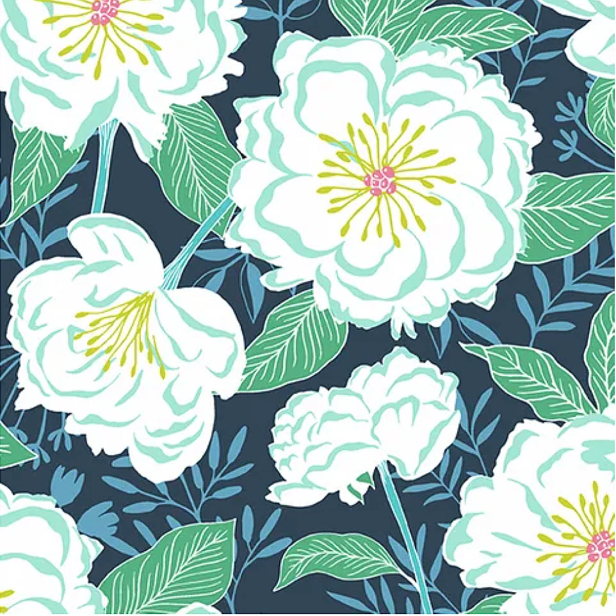 A/ Flora & Fauna ANEMONE GREY