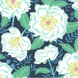 A/ Flora & Fauna ANEMONE GREY