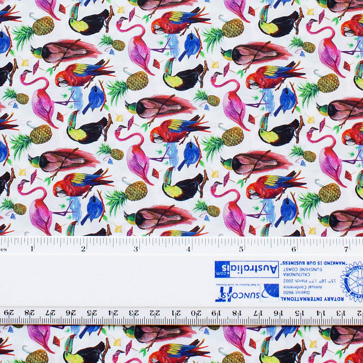 L/ BIRDS OF PARADISE A