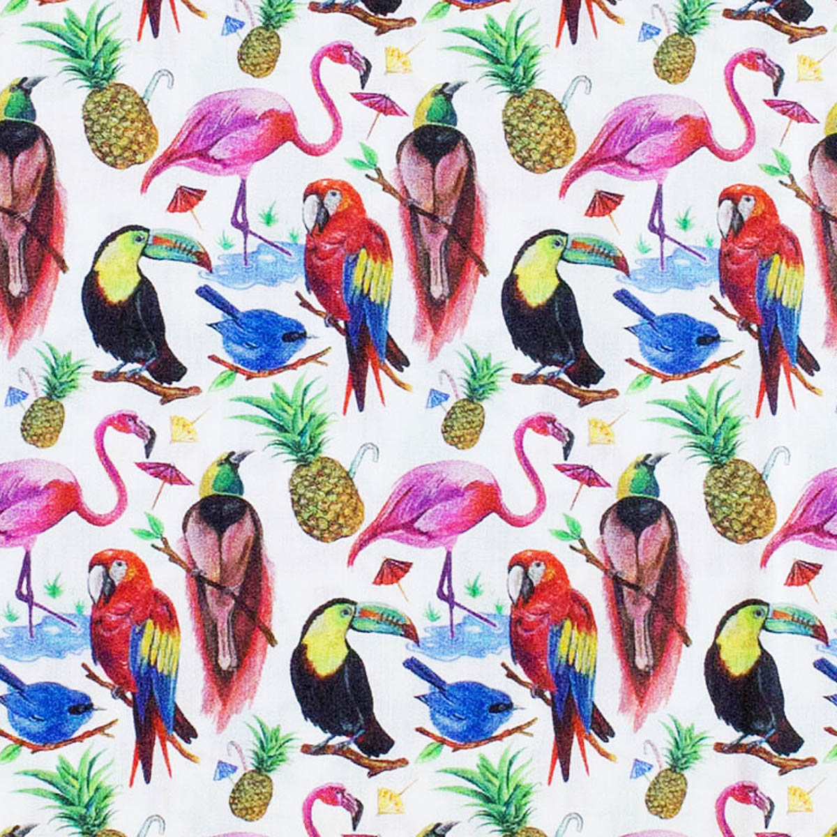 L/ BIRDS OF PARADISE A