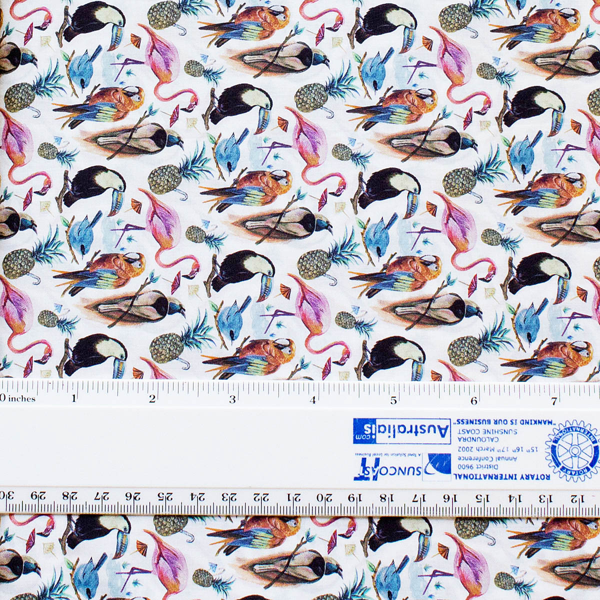 L/ BIRDS OF PARADISE C