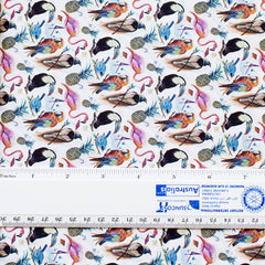 L/ BIRDS OF PARADISE C