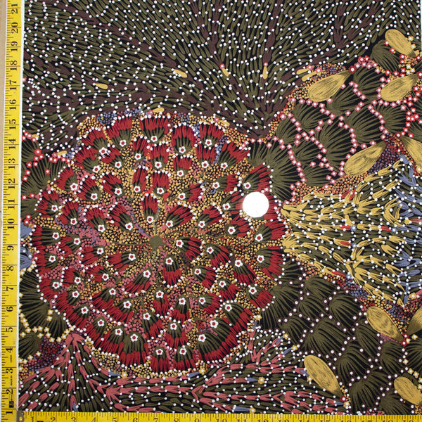 BUSH BANANA by Aboriginal Artist DONNA ABBOTT