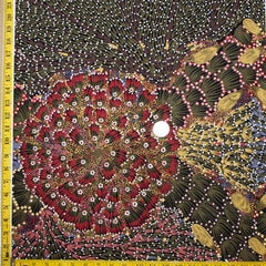 BUSH BANANA by Aboriginal Artist DONNA ABBOTT