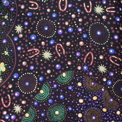 BUSH FOOD DREAMING BLACK - by Tanya Price Nangala