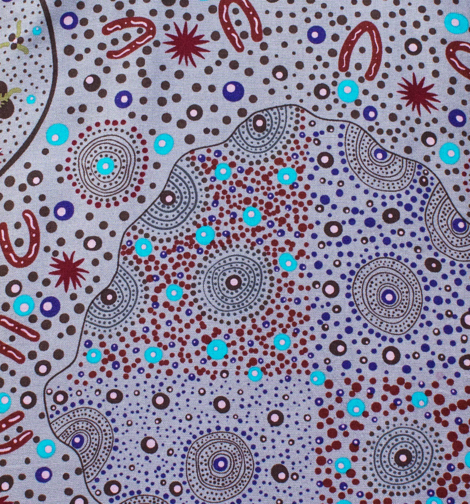 BUSH FOOD DREAMING MINT - by Tanya Price Nangala