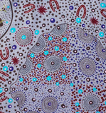 BUSH FOOD DREAMING MINT - by Tanya Price Nangala