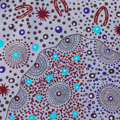 BUSH FOOD DREAMING MINT - by Tanya Price Nangala