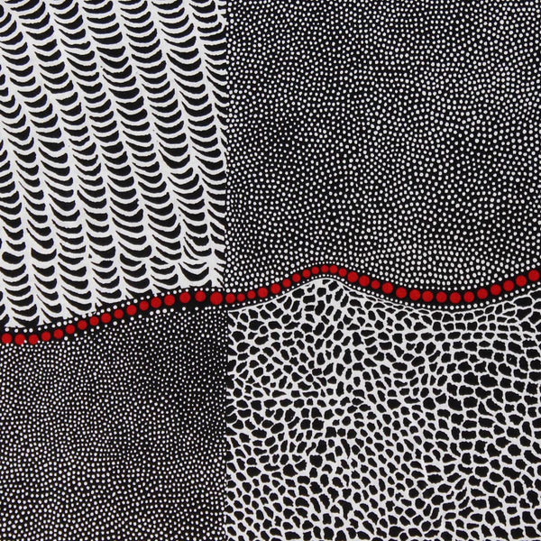 BUSH ONION DREAMING BLACK  by Aboriginal Artist JANE HUDSON