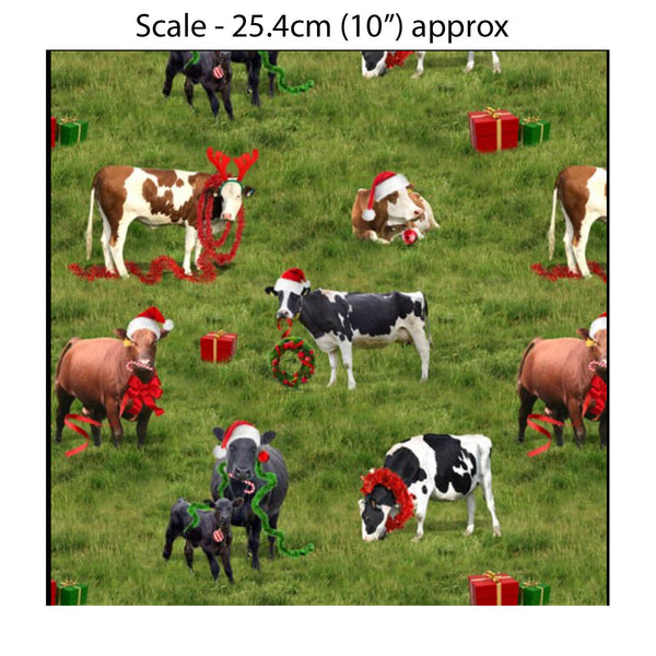 KK/ The Night Before Christmas - FESTIVE CATTLE - Australian Rural Themed