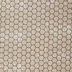 CHICKEN WIRE by Australian Aboriginal Artist - Anonymous