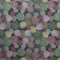 DANCING FLOWERS BLACK by Australian Aboriginal Artist JUNE SMITH