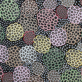 DANCING FLOWERS BLACK by Australian Aboriginal Artist JUNE SMITH