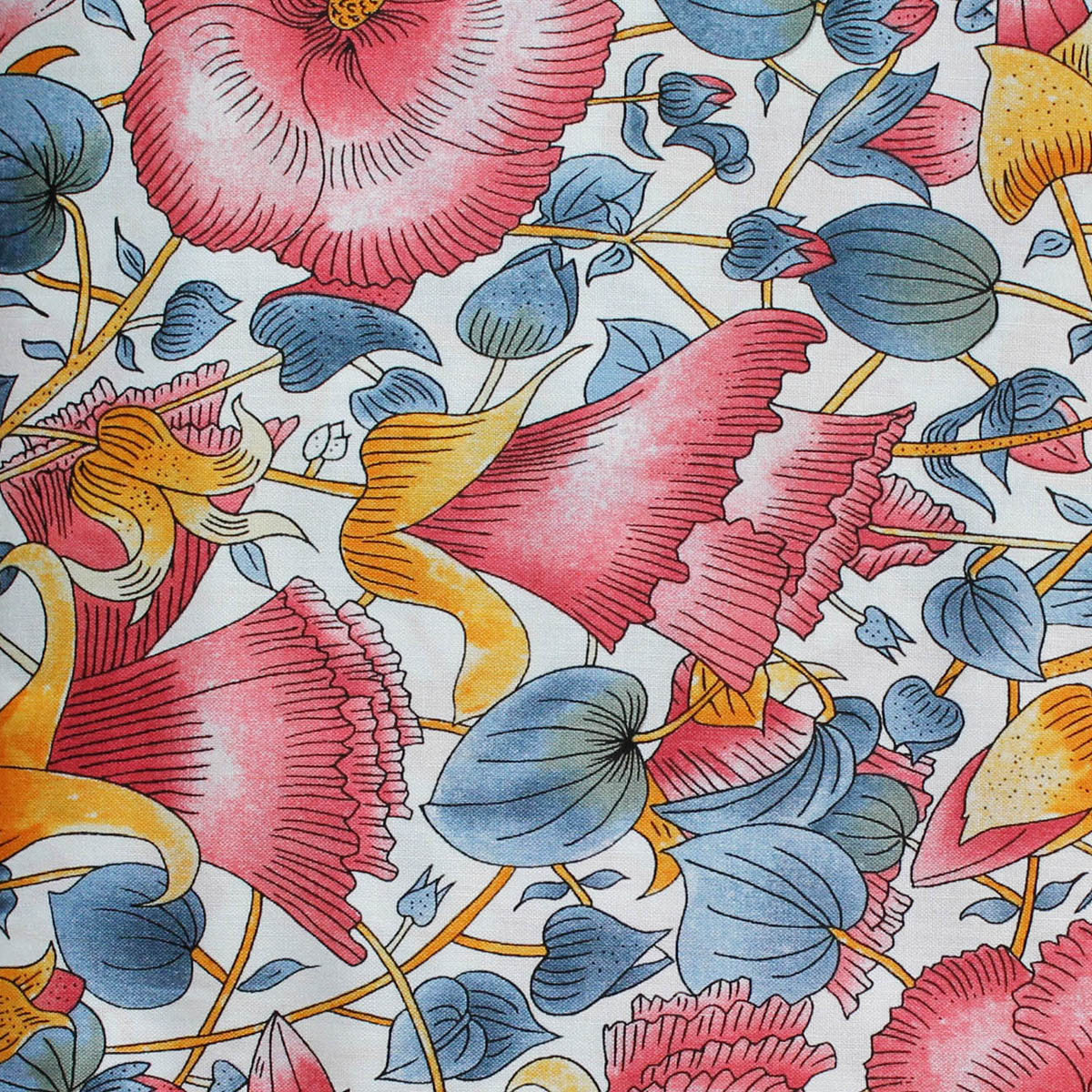 DESERT ROSE WHITE by Australian Artist PATRICIA WEEKS