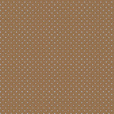 D/RT ANYWHERE IS PARADISE - Basic Sm Spot Brown