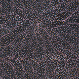 FALLEN SEEDS BLACK by Australian Aboriginal Artist GRACIE MORTON