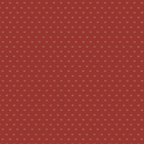 D/RT CHRISTMAS IN AUSTRALIA - Grass on Red