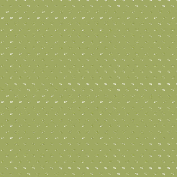 D/RT CHRISTMAS IN AUSTRALIA - Grass on Green