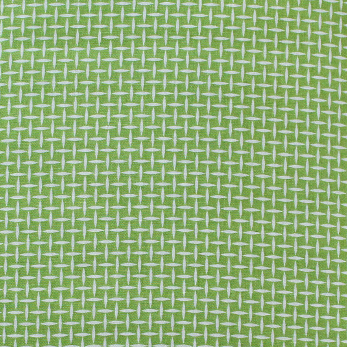 EB/B GRID GREEN - Basics