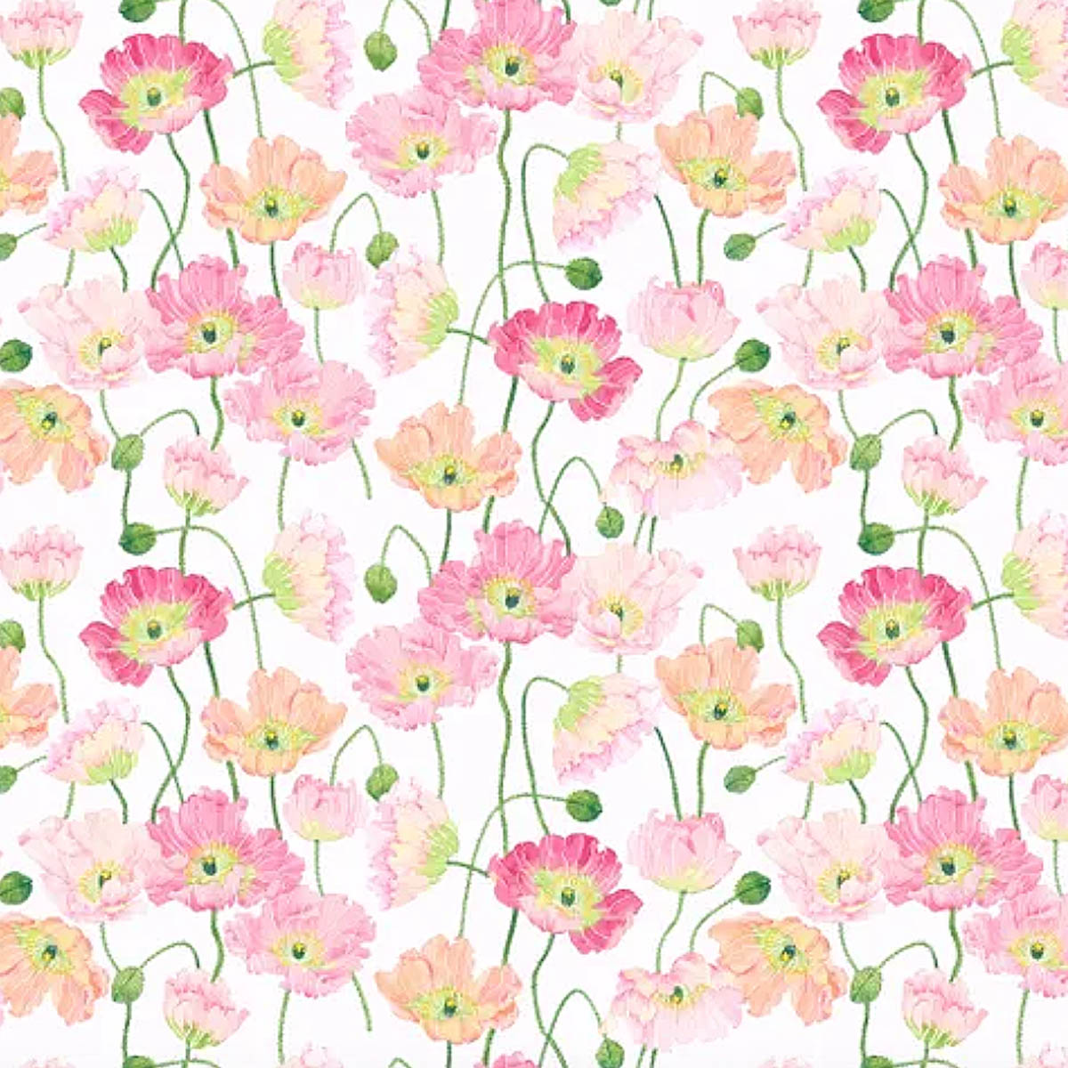 PB/ Pink Poppies 100% Cotton