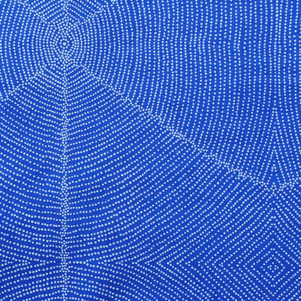 PLUM SEEDS BLUE by Aboriginal Artist  KATHLEEN PITJARA