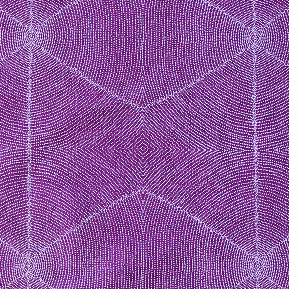PLUM SEEDS PURPLE by Aboriginal Artist  KATHLEEN PITJARA