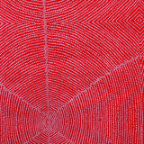 PLUM SEEDS RED by Aboriginal Artist  KATHLEEN PITJARA