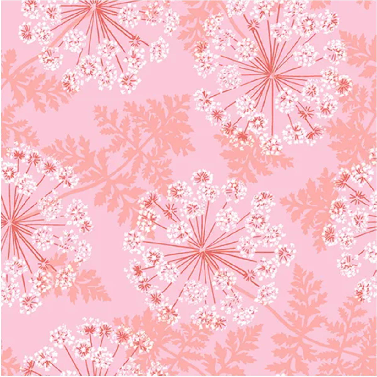 A/ Flora & Fauna QUEEN ANNE'S LACE PINK