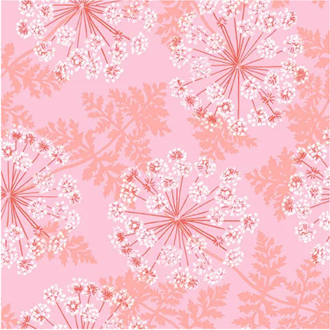 A/ Flora & Fauna QUEEN ANNE'S LACE PINK