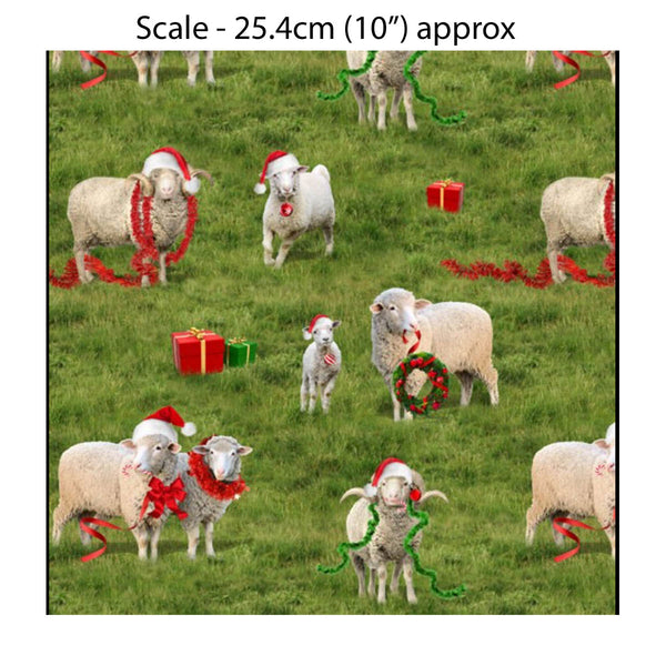 KK/ The Night Before Christmas - FESTIVE SHEEP - Australian Rural Themed