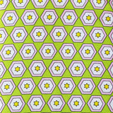 EB/BC STARS GREEN/PINK - Backyard Circus