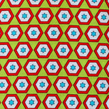 EB/BC STARS GREEN/RED - Backyard Circus