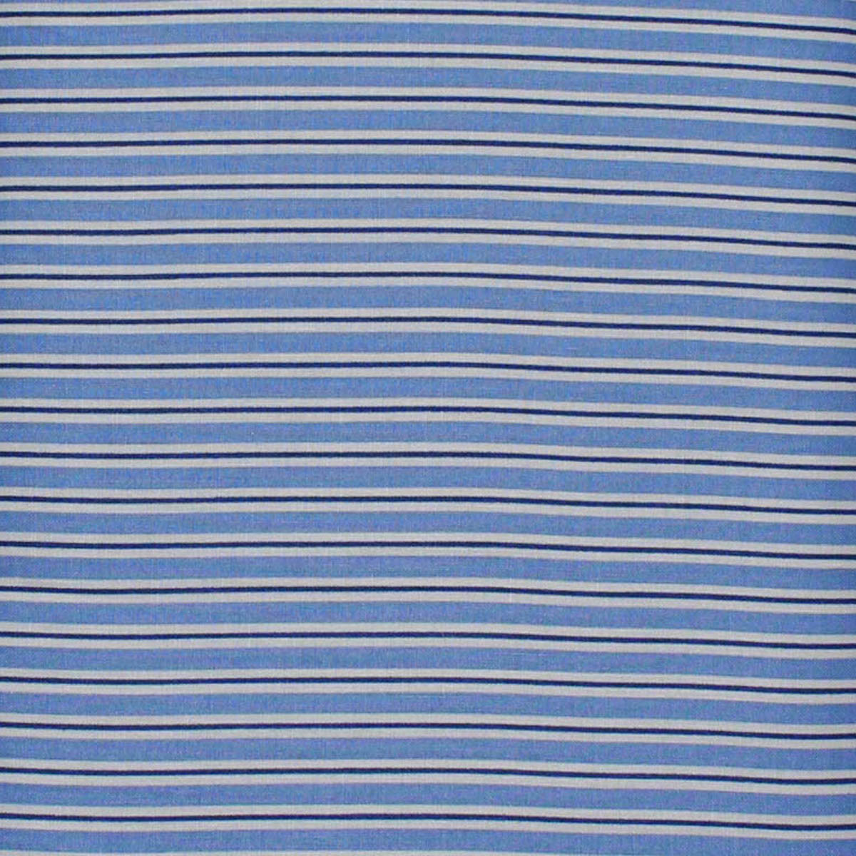 EB/TA STRIPE BLUE - Terra Australis 2