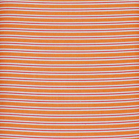 EB/TA STRIPE DESERT - Terra Australis 2