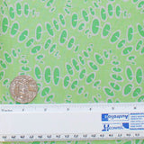 EB/TA SPINNING STICKS GRASS - Terra Australis