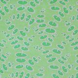 EB/TA SPINNING STICKS GRASS - Terra Australis