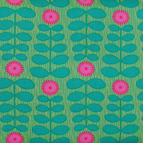 EB/TA WATTLE EMERALD - Terra Australis