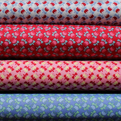 EB/FF TULIPS FRENCH BLUE - Folk Festival