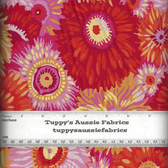 KF/ ZANY HOT- Kaffe Fassett