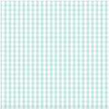 D/F Devonstone Fundamentals - Small Check Seafoam DV2874